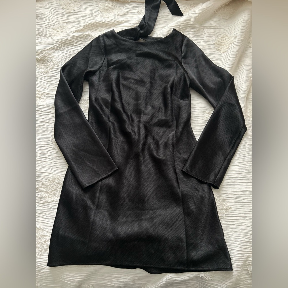 Abercrombie and Fitch Long Sleeve Mini Dress